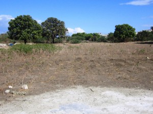 Land Purchased for Love Orphanage